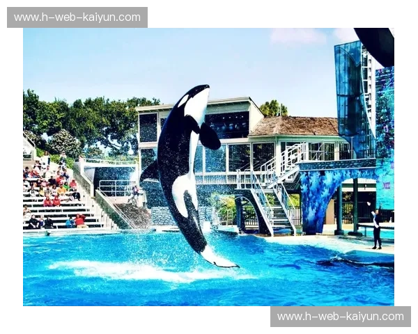 爵士与黄蜂：盐湖城的星辰大海与夏洛特的蓄势待发